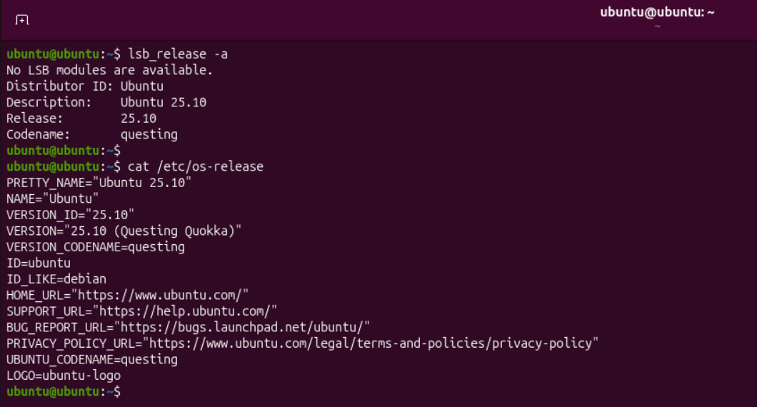Ubuntu 25.10 check version terminal output